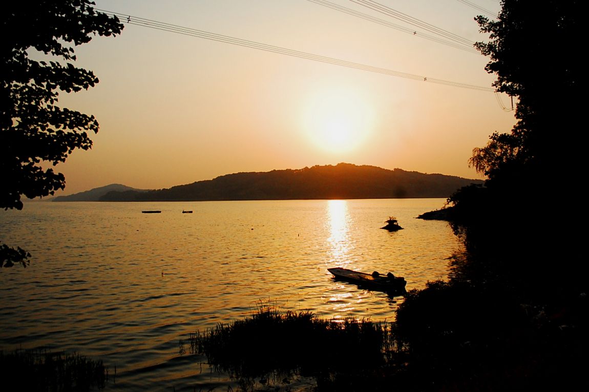 �ٹ̱�_DSC_0247.JPG