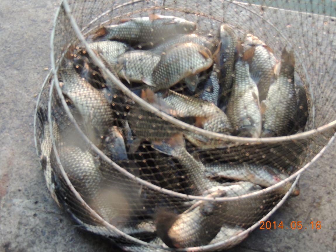 DSCN1021.JPG