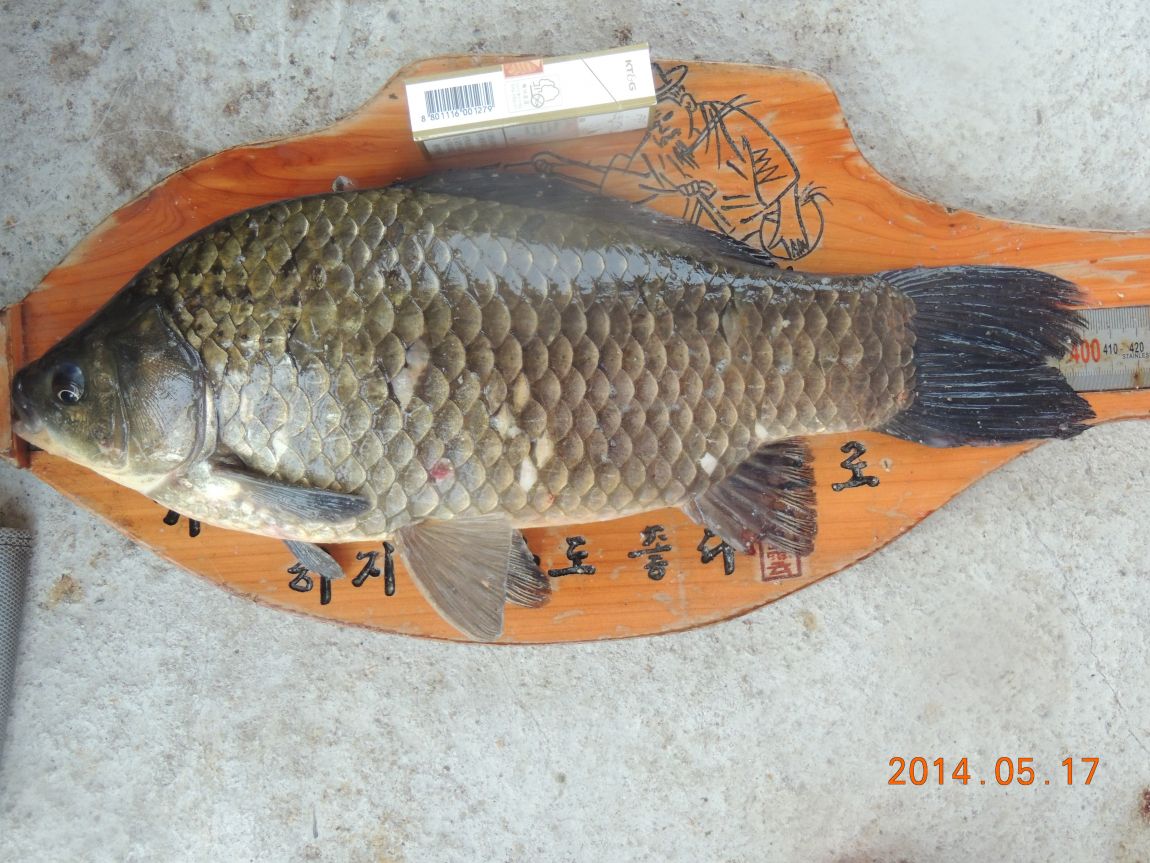 DSCN1045.JPG