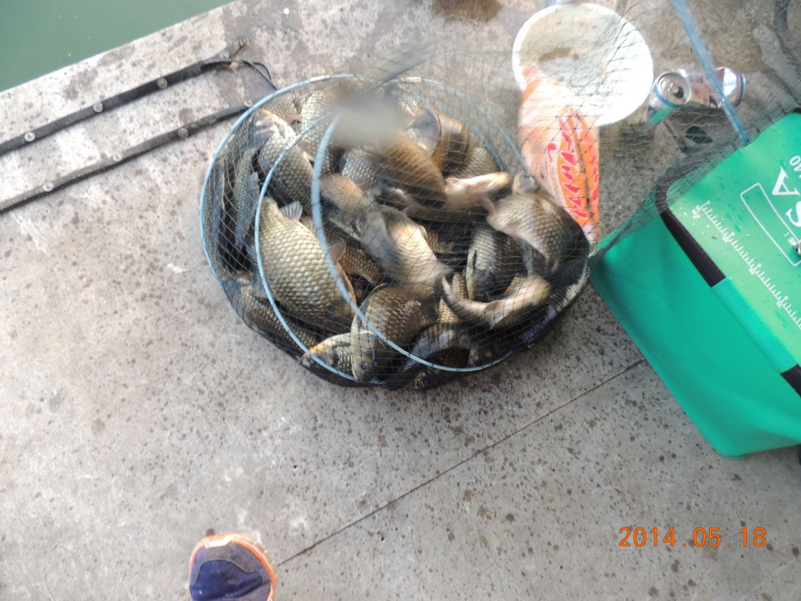 DSCN1071.JPG