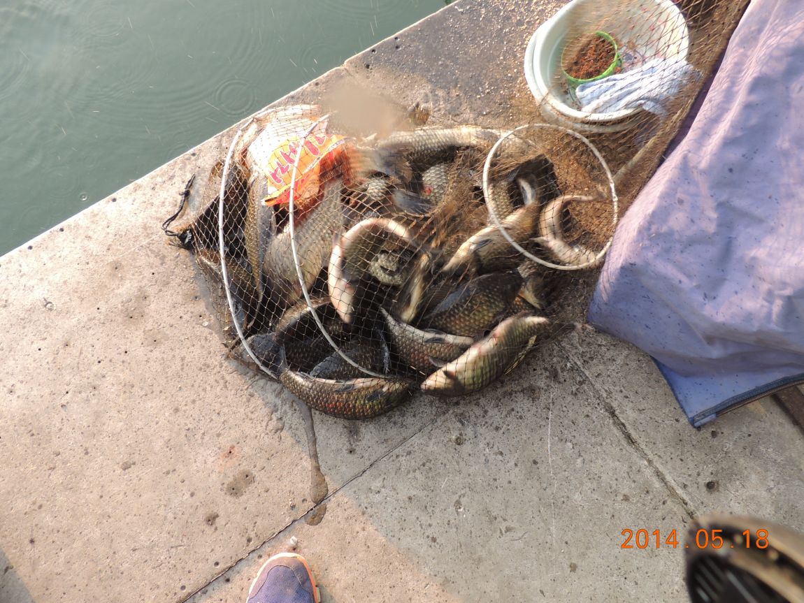 DSCN1073.JPG