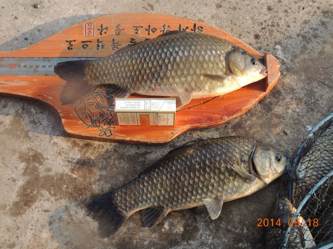 DSCN1081.JPG