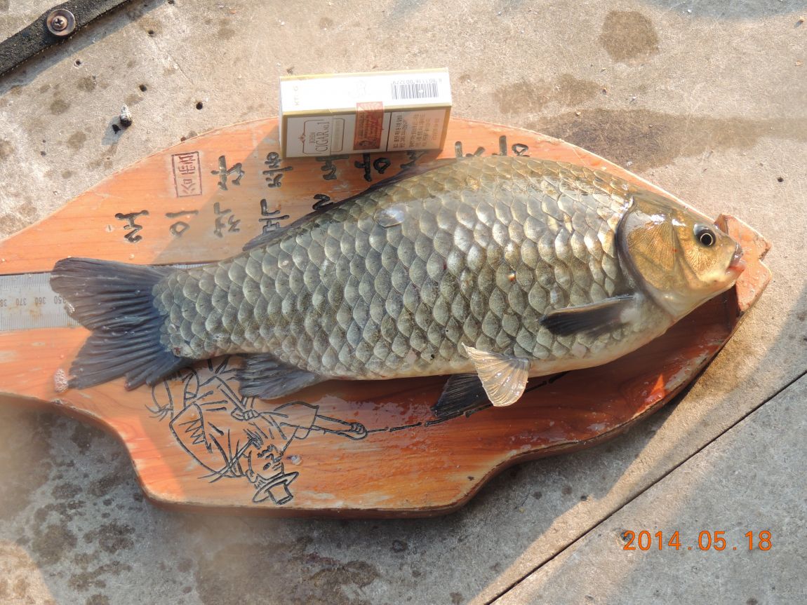 DSCN1082.JPG