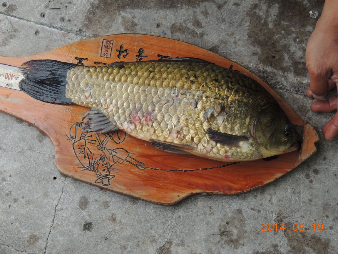 DSCN1105.JPG