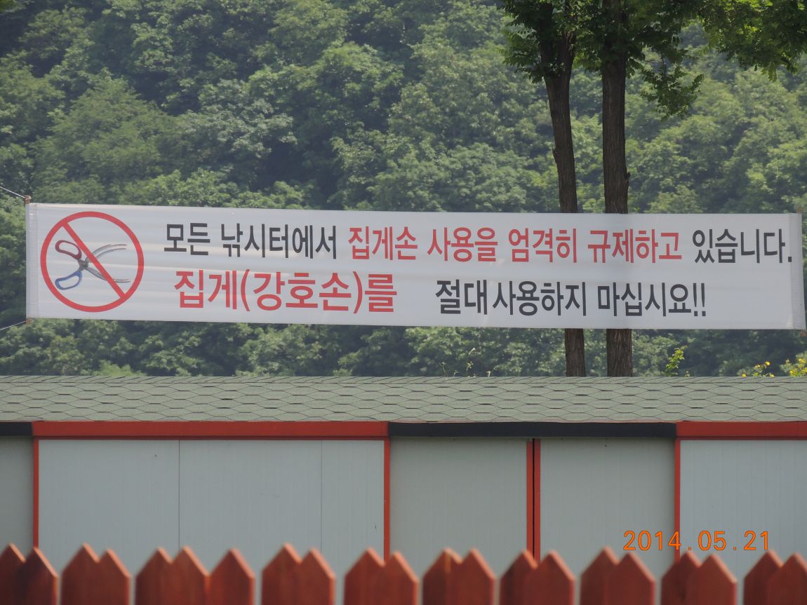 DSCN1141.JPG