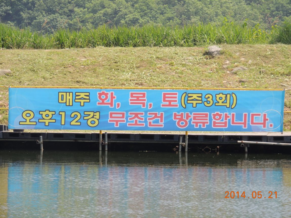 DSCN1144.JPG