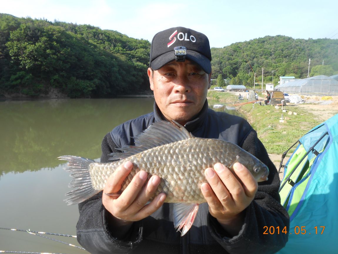 DSCN1437.JPG