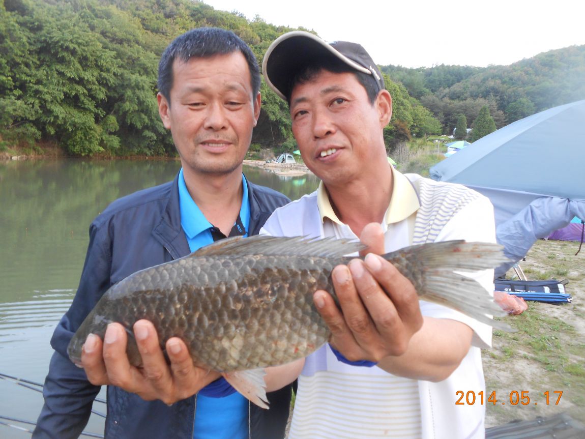 DSCN1442.JPG