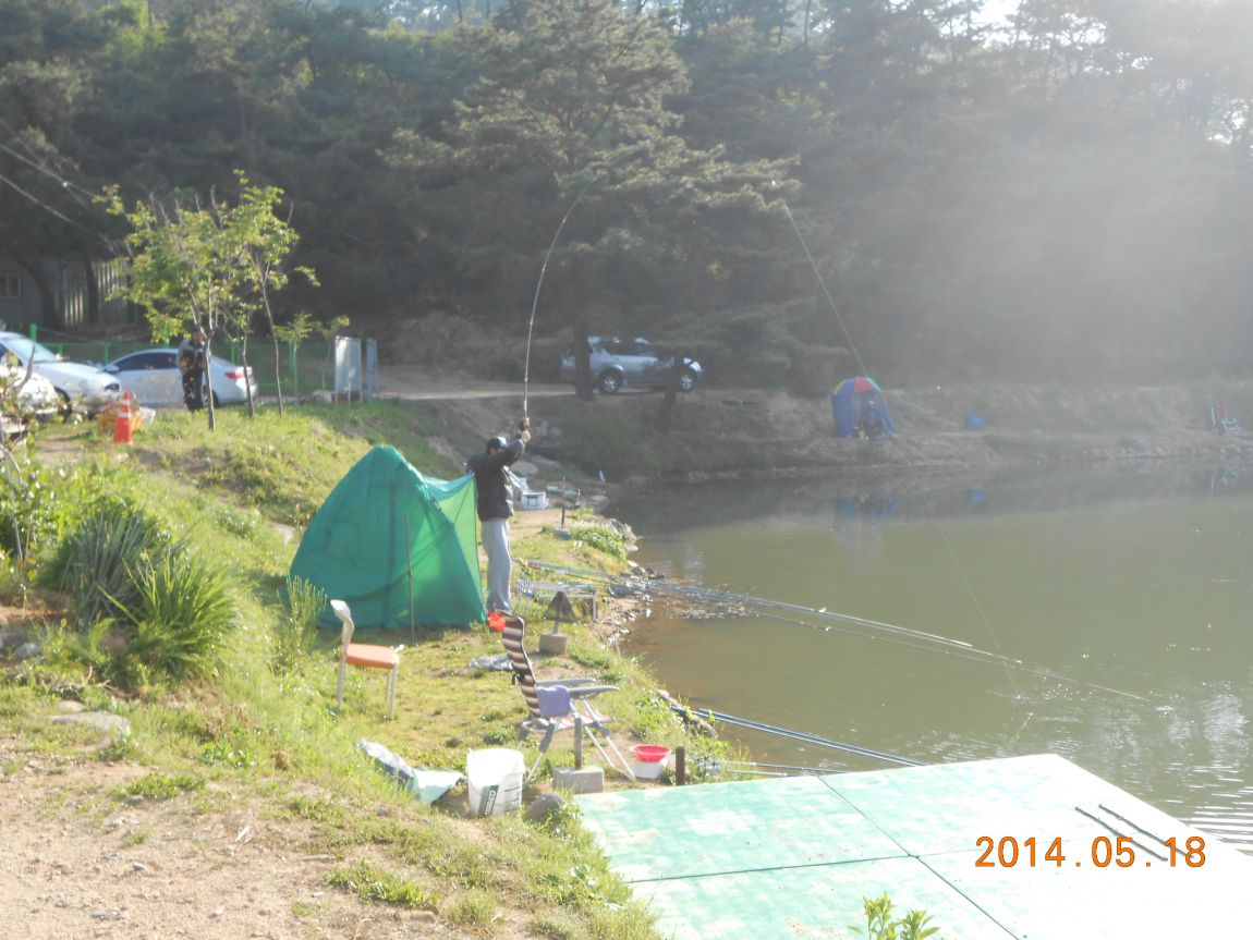 DSCN1469.JPG
