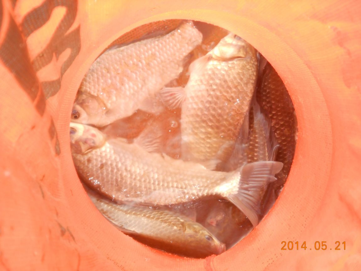 DSCN1483.JPG