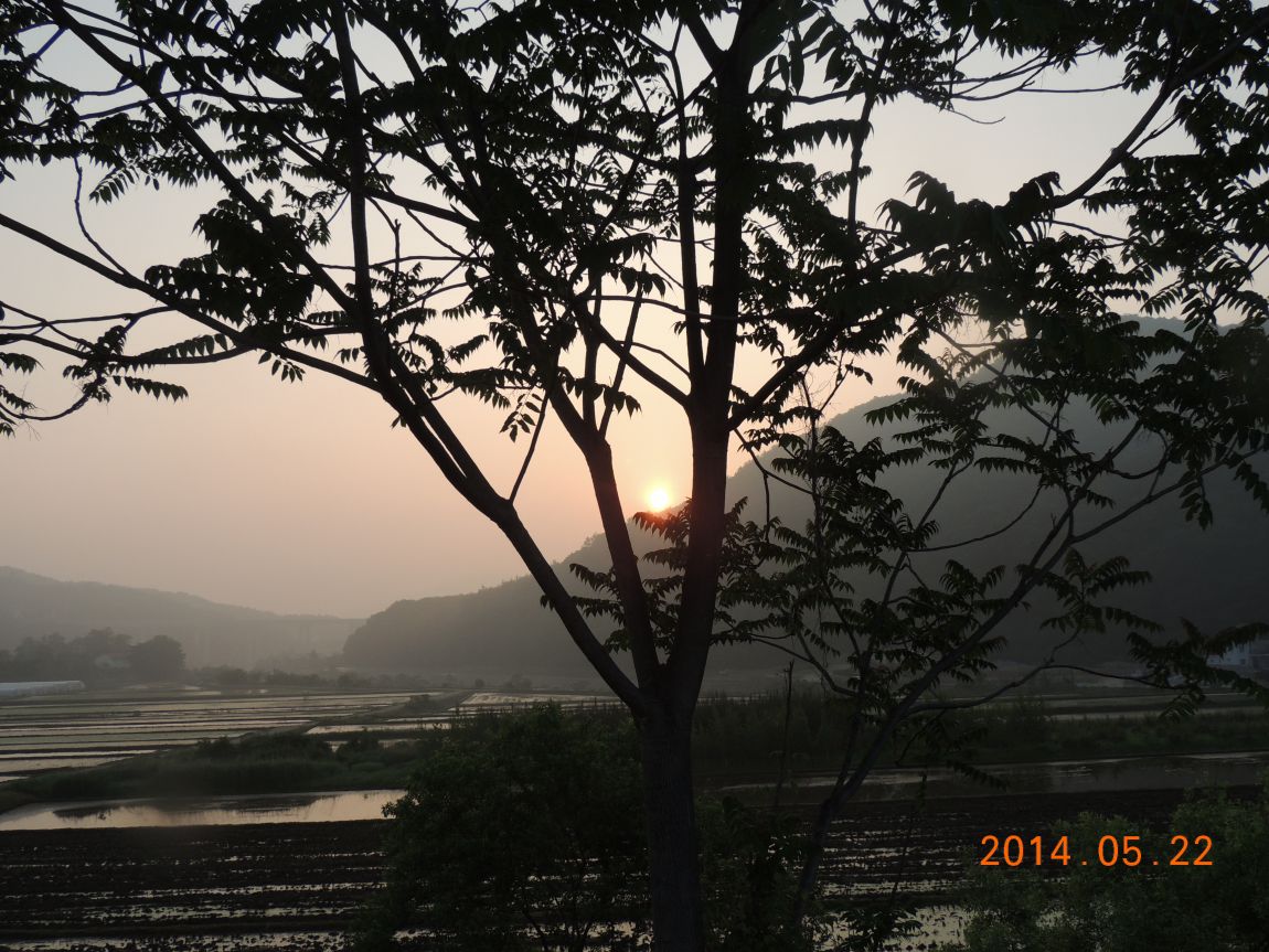 DSCN1153.JPG