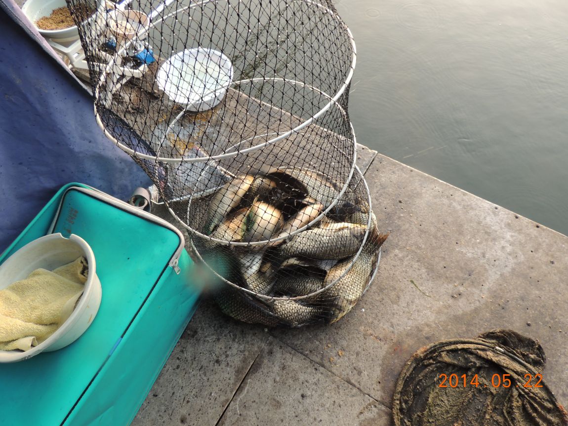 DSCN1159.JPG