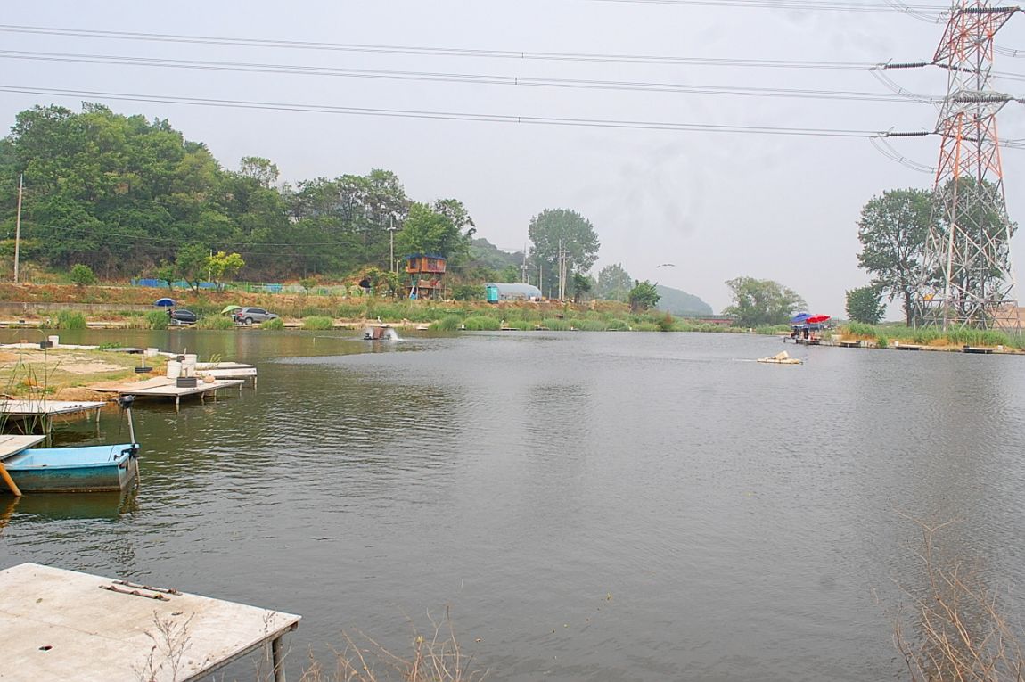 �ٹ̱�_DSC_000111 (2).JPG