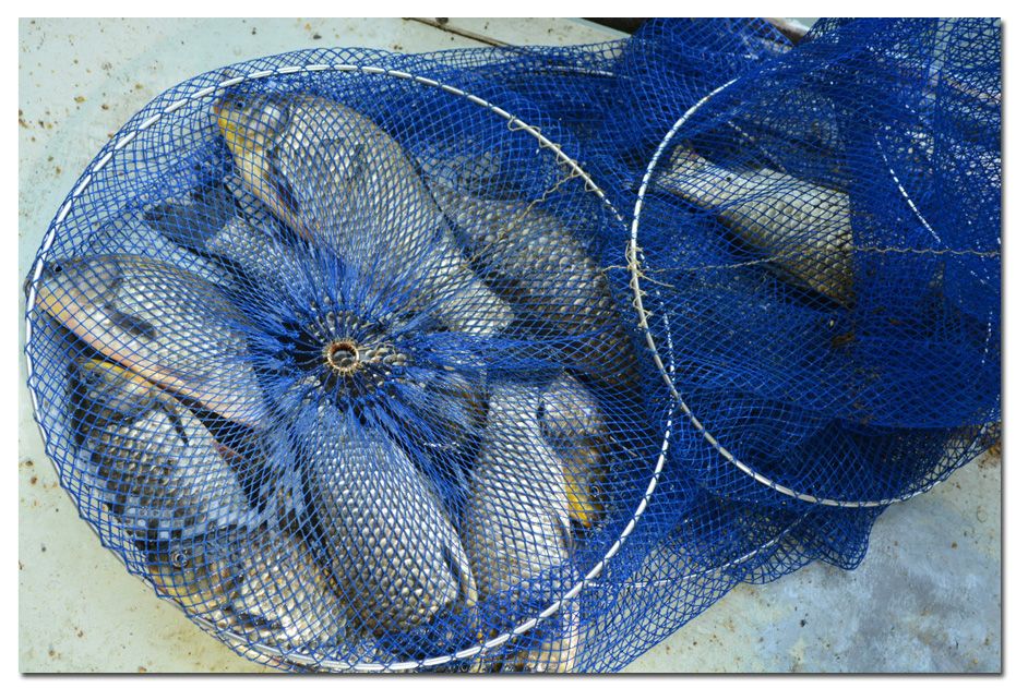 Untitled-1 copy 16.jpg