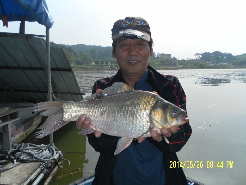 SAM_1192.JPG