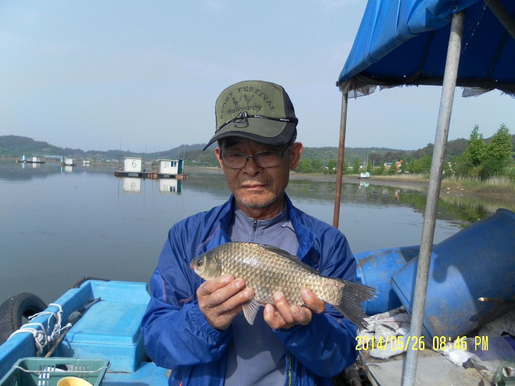 SAM_1196.JPG