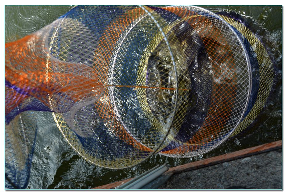 Untitled-1 copy 3.jpg