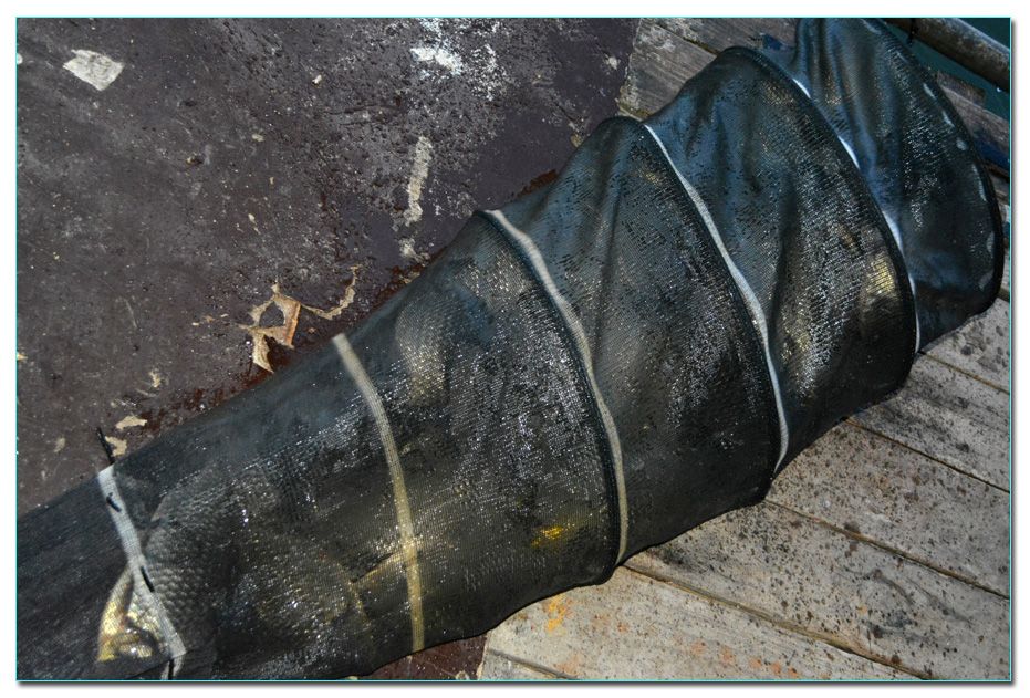 Untitled-1 copy 5.jpg