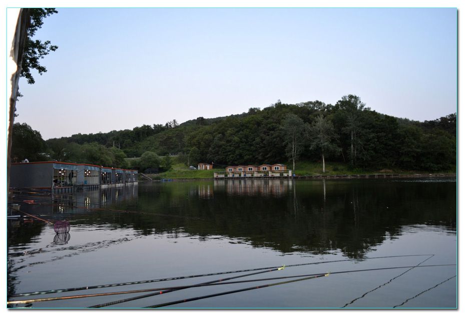 Untitled-1 copy 6.jpg