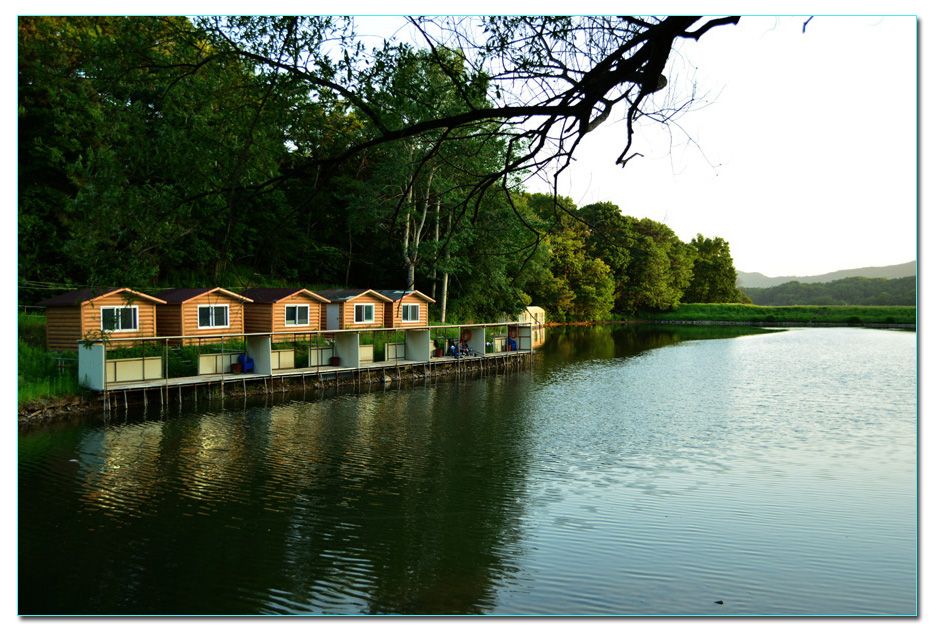 Untitled-1 copy 11.jpg