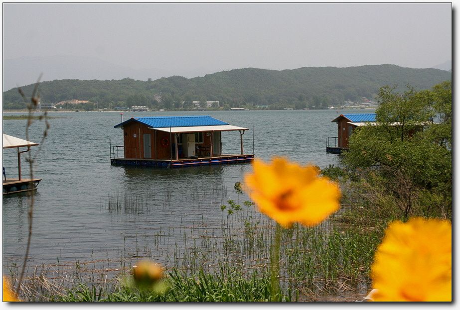 �ٹ̱�_��������ȸ 1281.jpg