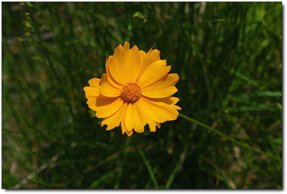 �ٹ̱�_��������ȸ 1278.jpg