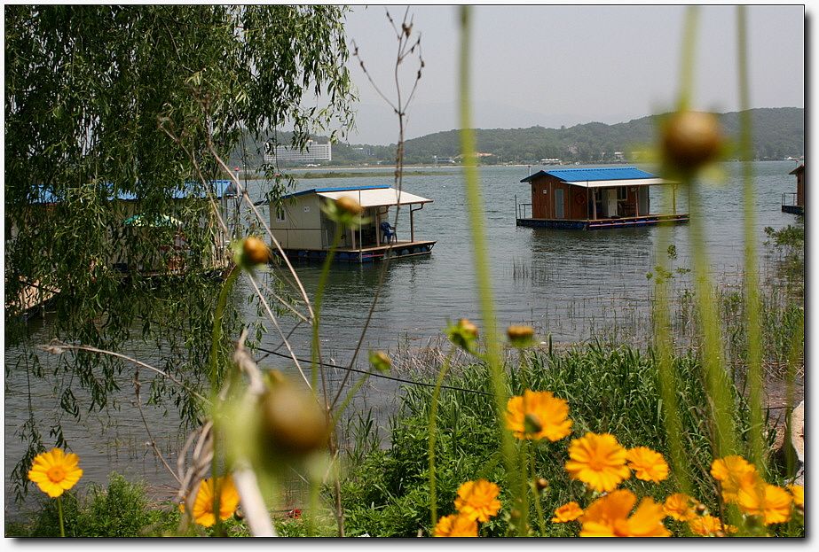 �ٹ̱�_��������ȸ 1290.jpg