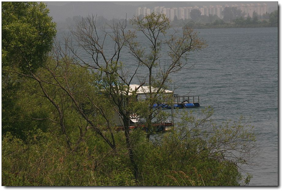 �ٹ̱�_��������ȸ 1313.jpg