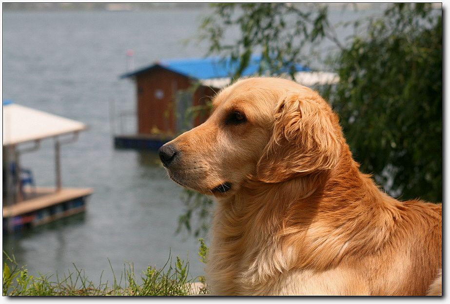 �ٹ̱�_��������ȸ 1331.jpg