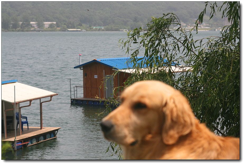 �ٹ̱�_��������ȸ 1350.jpg