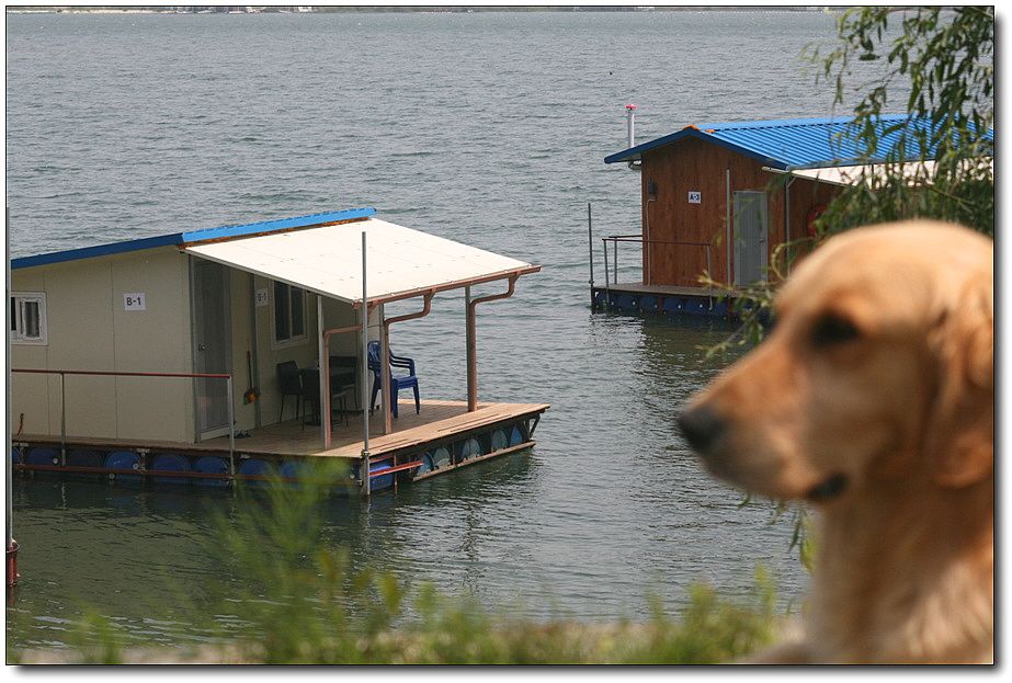 �ٹ̱�_��������ȸ 1357.jpg