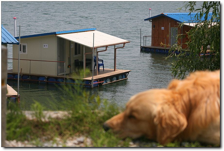 �ٹ̱�_��������ȸ 1385.jpg