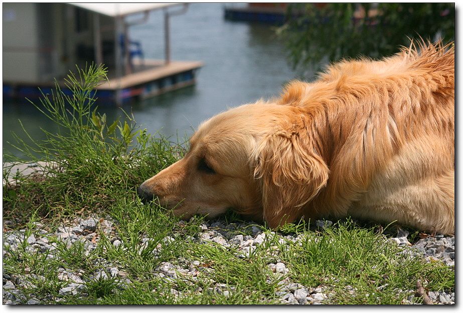 �ٹ̱�_��������ȸ 1388.jpg