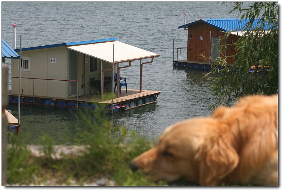 �ٹ̱�_��������ȸ 1393.jpg