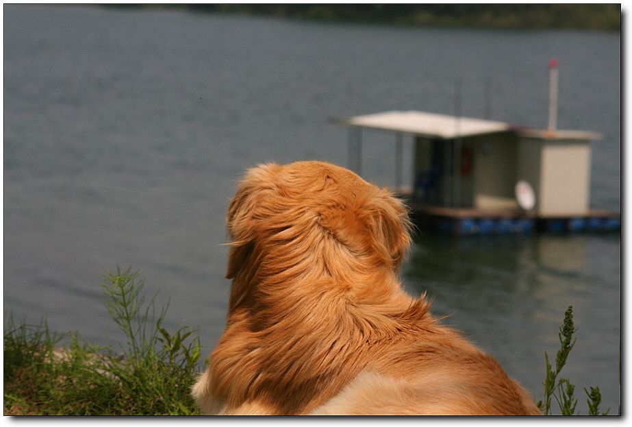 �ٹ̱�_��������ȸ 1394.jpg