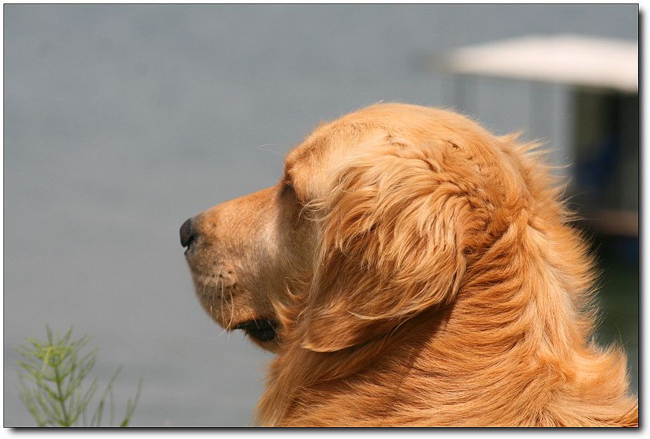 �ٹ̱�_��������ȸ 1398.jpg