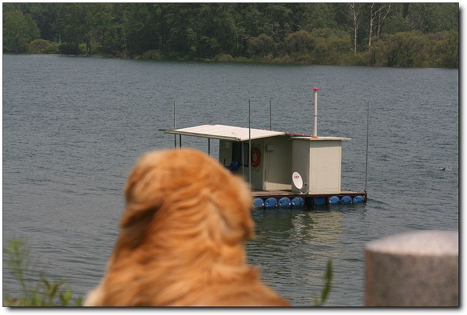 �ٹ̱�_��������ȸ 1399.jpg