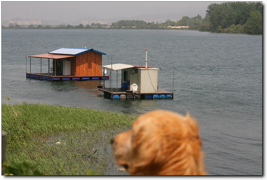 �ٹ̱�_��������ȸ 1407.jpg