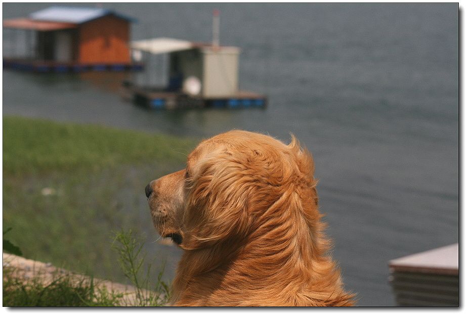 �ٹ̱�_��������ȸ 1409.jpg