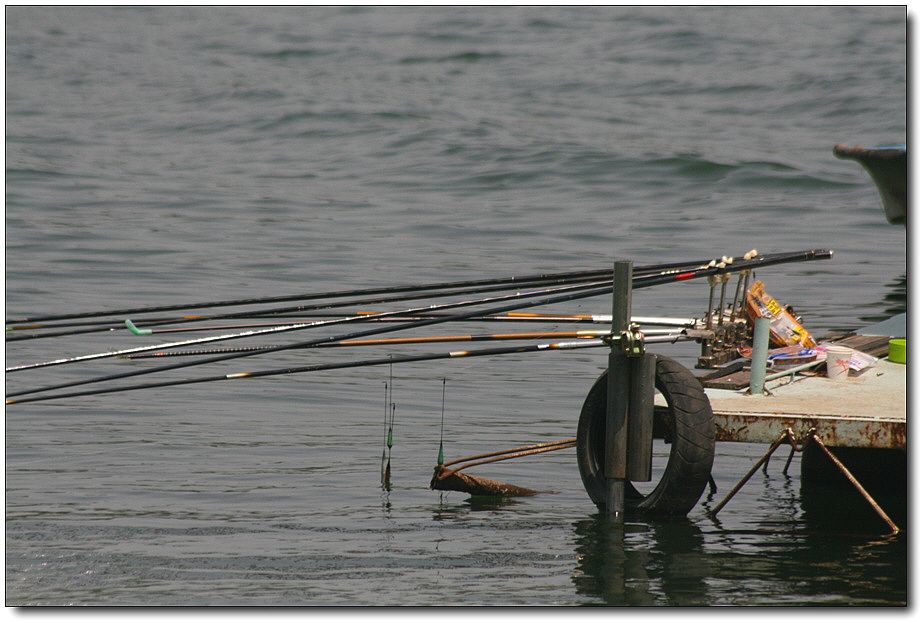 �ٹ̱�_��������ȸ 1427.jpg