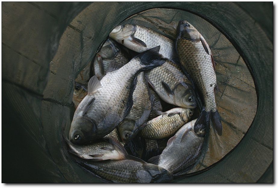 �ٹ̱�_�ݵ������� 1270.jpg