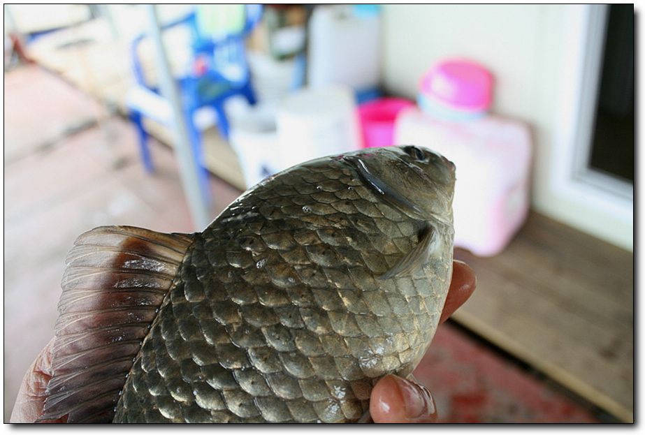 �ٹ̱�_�ݵ������� 1262.jpg