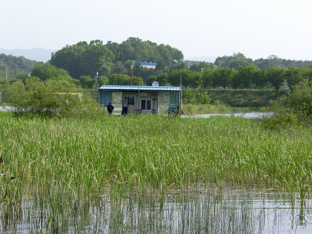 SH108664.JPG