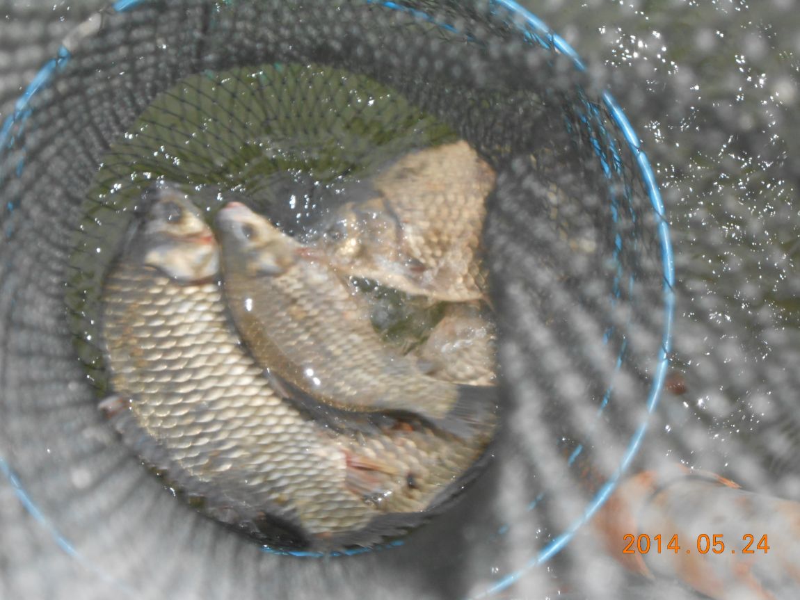 DSCN1497.JPG