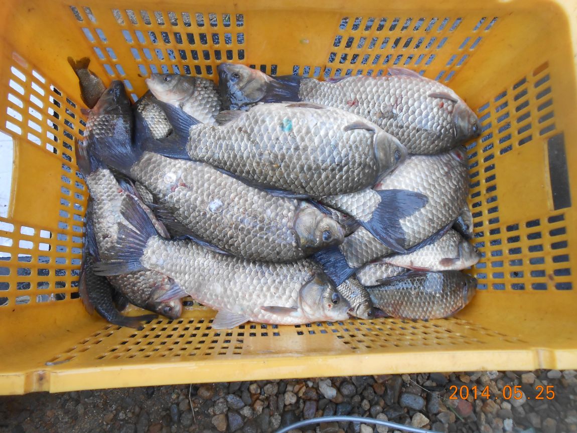 DSCN1510.JPG