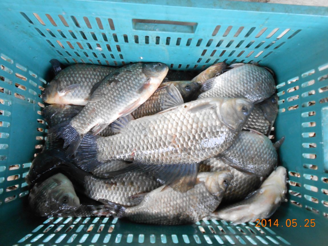 DSCN1519.JPG