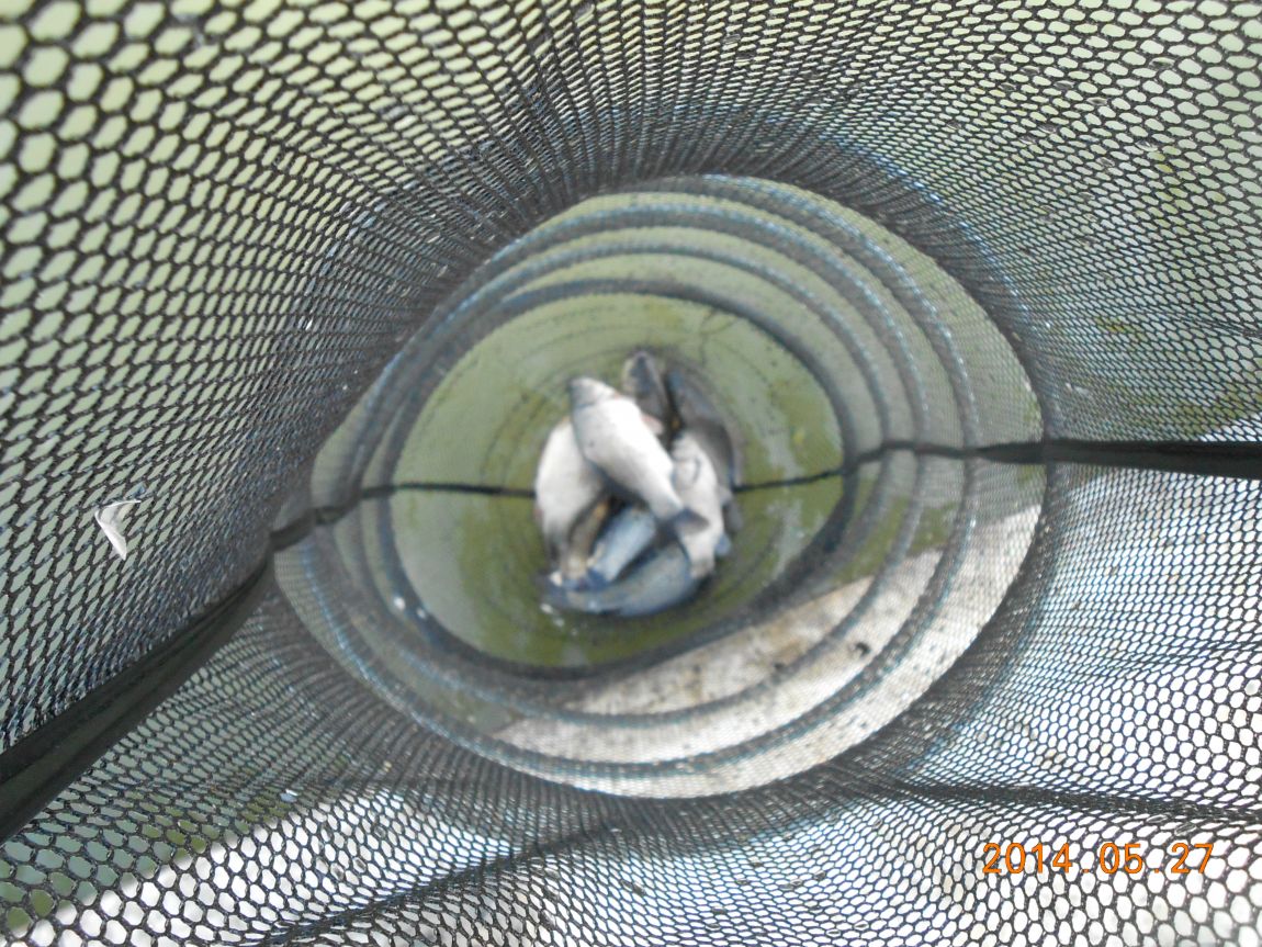 DSCN1522.JPG