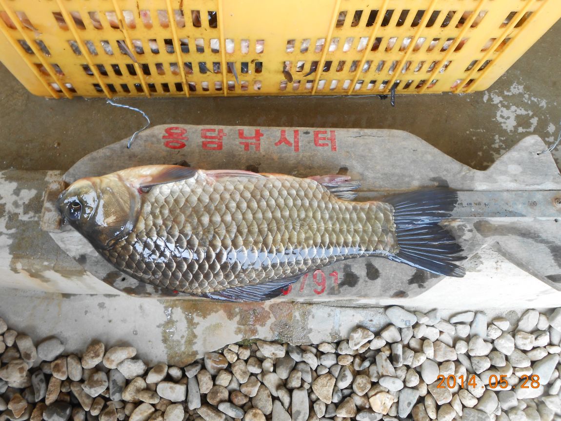DSCN1528.JPG