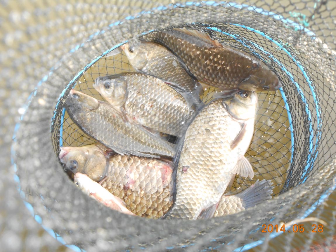 DSCN1530.JPG