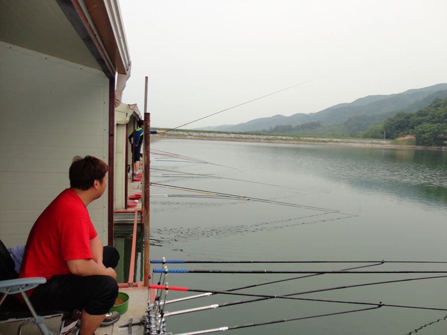 DSC01455.jpg
